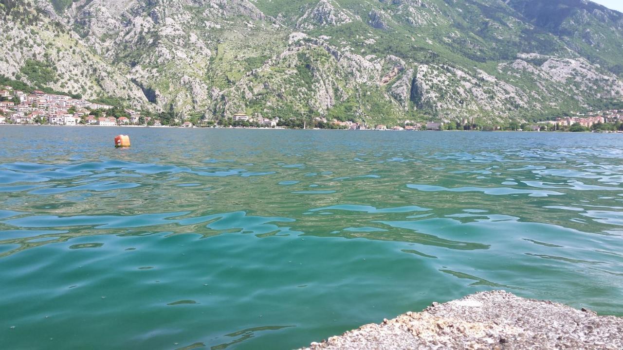 Apartment Radovic Kotor Exterior photo