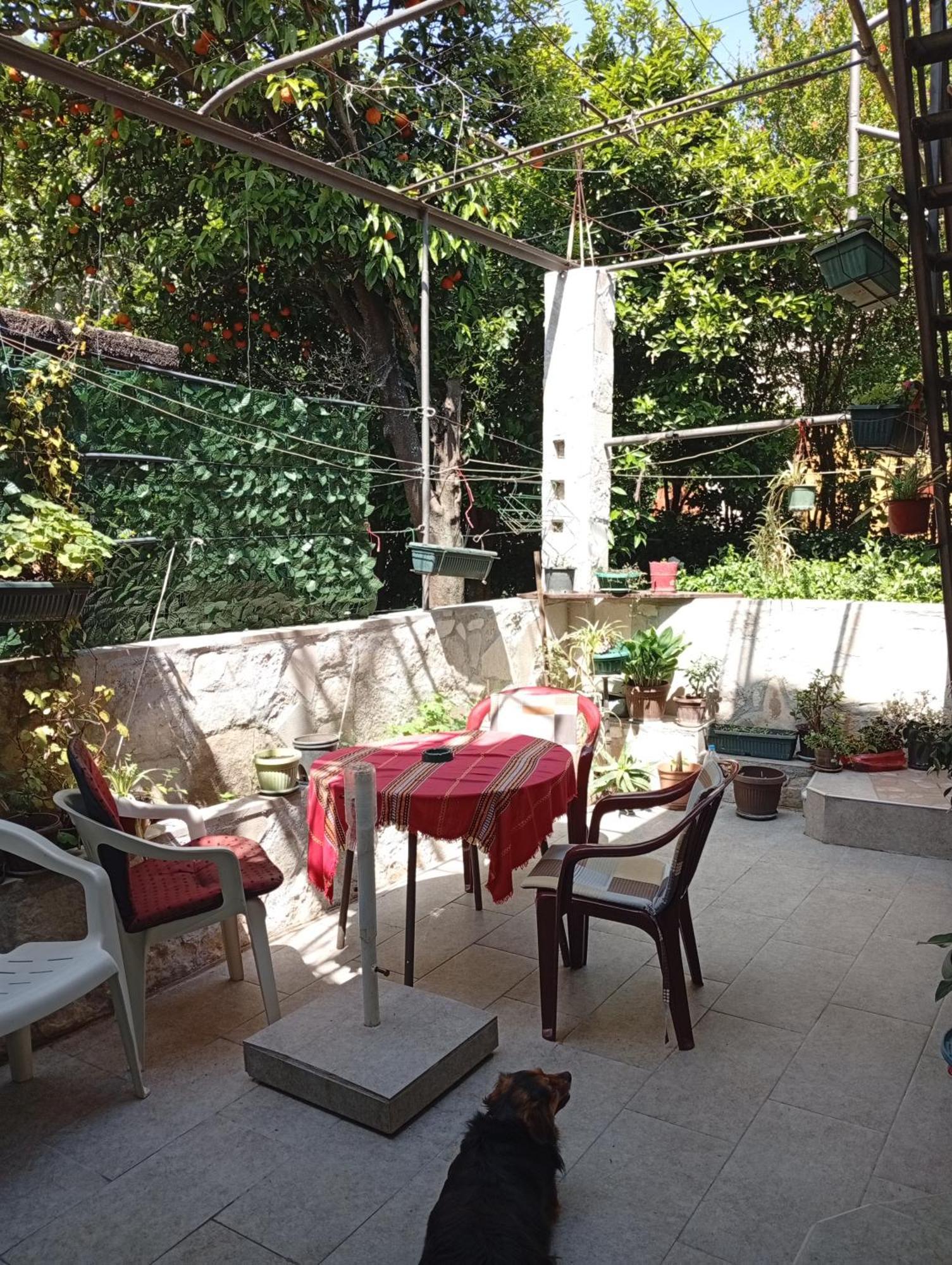 Apartment Radovic Kotor Exterior photo